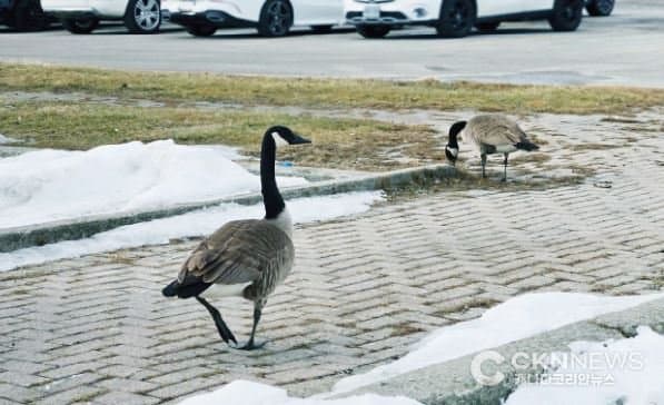 ํ ๋ก ํ '๊น์ง ๋ด' ๋ฐฉ๋ฌธ, ์์์ผ ์ต๊ณ 16๋ โฆ ์ฌํ๊ฐ ๋ ์๋ฆฟ์ ๊ธฐ์จ