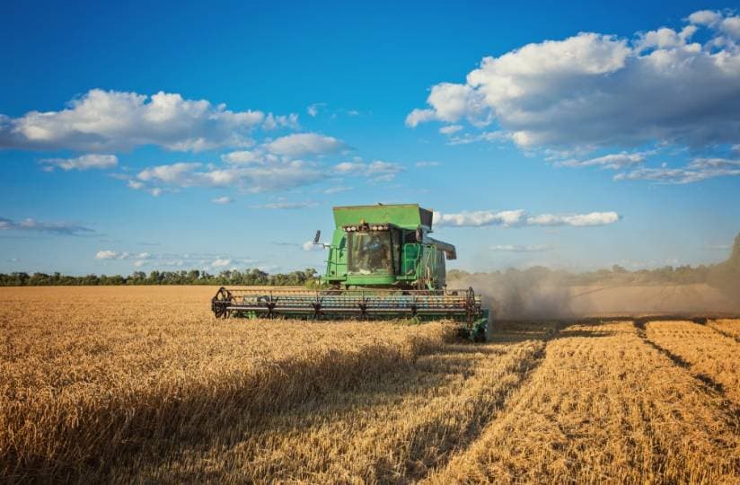 โ์ํ ๋ฌผ๊ฐ ์ต๋ 50% ํญ๋ฑ ๊ฐ๋ฅโโฆ ์จํ๋ฆฌ์ค ๋๊ฐ โ๋์ ค ์ง๊ฒฉํโ