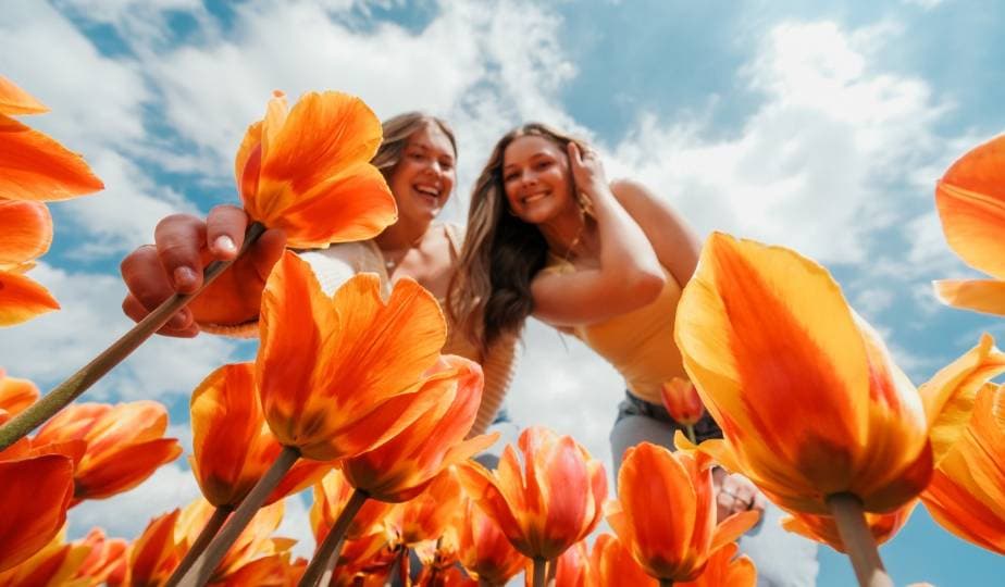 โ์ธ์์ท ์ฐ์ผ๋ฌ ๋์ด์๊ฐ๋ผ ๊ฐ์โ โฆ ์จํ๋ฆฌ์ค ์ต๋ ํค๋ฆฝ ์ถ์ ๊ฐ๋ง